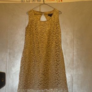 A Elegant Gold Lace Dress slightly wore . Zipper on the side.